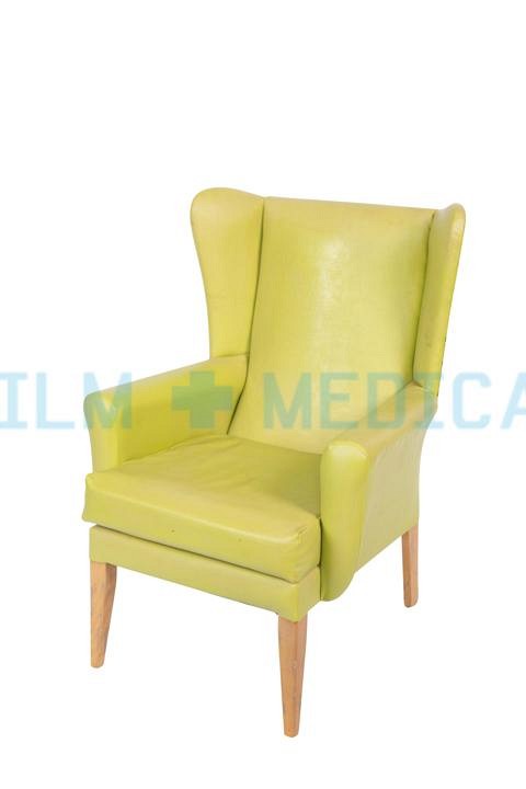 Green Wing Back Chair 